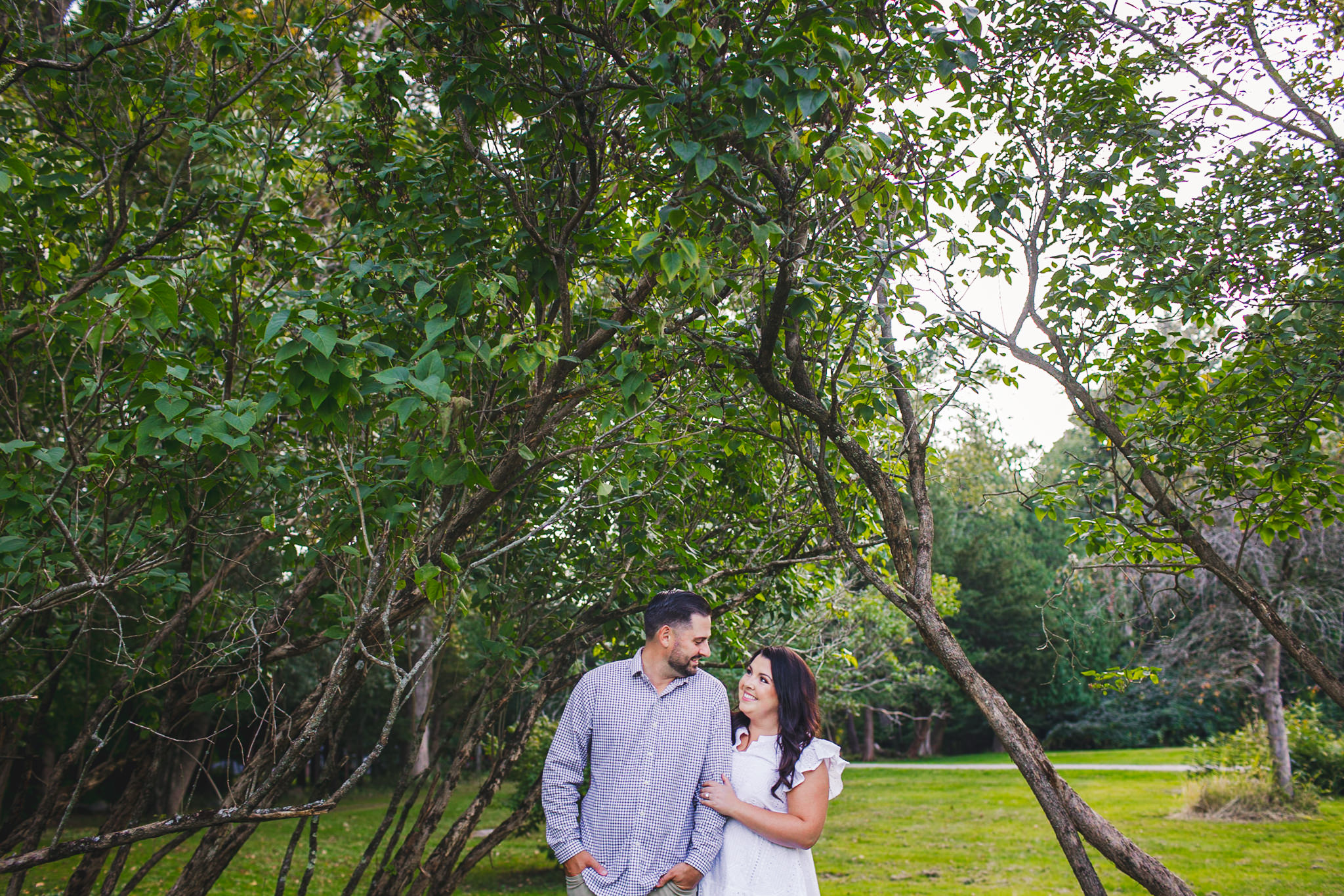 Couple hugging under tree arch at Borderland State Park in Easton, MA during engagement photoshoot